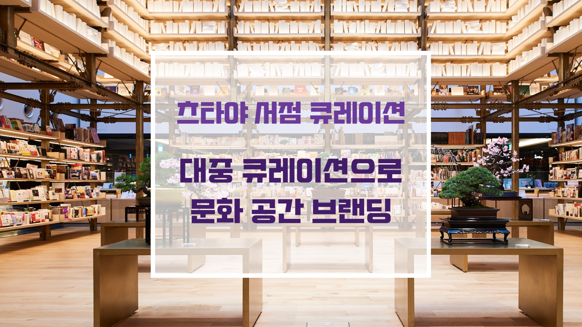 따뜻한 월넛 원목 서가와 은은한 간접 조명이 조화를 이루는 츠타야 서점 라이프스타일 큐레이션 내부 전경